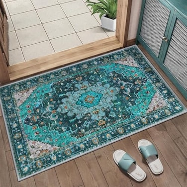 Ciicool Washable 2x3 Entry Rug Small Rugs for Entryway Kitchen Bathroom Door Mat Indoor Entrance Non Slip Rubber Backing Stain Fade ResistantOriental LowPile Throw Carpet