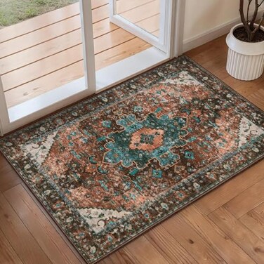 Ciicool Washable 2x3 Entry Rug Small Rugs for Entryway Kitchen Bathroom Door Mat Indoor Entrance Non Slip Rubber Backing Stain Fade ResistantOriental LowPile Throw Carpet