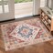 Ciicool Washable 2x3 Entry Rug Small Rugs for Entryway Kitchen Bathroom Door Mat Indoor Entrance Non Slip Rubber Backing Stain Fade ResistantOriental LowPile Throw Carpet