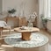 Lahome Insect Washable Round Rugs NonSlip Soft Round Rug 4ft UltraThin Small Boho Circle Carpet for Entryway Kitchen Bedroom Nursery Bathroom Vionnet Beige