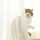 PHILEASY Window Sheer Beige Curtains 90 Inches Long 2 Panels Beige Sheer Curtains Sheer Curtain Clear Transparent Basic Rod Pocket Panel 15 Colors 10 Size for Bedroom Living Room Yard Kitchen