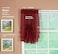 Today's Curtain Todays Curtain Emelia Original Voile Fan Insert Burgundy 30 W x 40 L