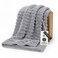 Bedsure Light Grey Fleece Blanket for Couch Super Soft Cozy Blankets for Women Cute Small Throws for Girls 50x70 Inches