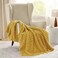 Bedsure GentleSoft Yellow Throw Blanket for Couch Cozy Soft Fleece Blankets for Women Cute Small Throws for Girls Honey 50x60 Inches