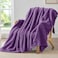 BEDELITE Fleece Throw Blanket for Couch 300GSM Soft Warm Fluffy Purple Blanket Decorative and Giftable Striped Blankets for Women Men 50x60
