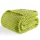 Bnuitland Fruit Green Flannel Throw Blanket 50X40 inches 300 GSM Fleece Cozy Warm Soft Lightweight Bed Sofa Blanket for Babys and Pets Suitable for All Seasons