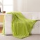 Bnuitland Fruit Green Flannel Throw Blanket 50X40 inches 300 GSM Fleece Cozy Warm Soft Lightweight Bed Sofa Blanket for Babys and Pets Suitable for All Seasons