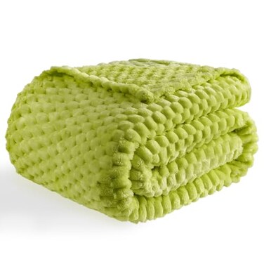 Bnuitland Fruit Green Flannel Throw Blanket 50X40 inches 300 GSM Fleece Cozy Warm Soft Lightweight Bed Sofa Blanket for Babys and Pets Suitable for All Seasons