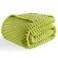 Bnuitland Fruit Green Flannel Throw Blanket 50X40 inches 300 GSM Fleece Cozy Warm Soft Lightweight Bed Sofa Blanket for Babys and Pets Suitable for All Seasons