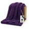 Bedsure GentleSoft Purple Throw Blanket for Couch Super Soft Cozy Blankets for Women Cute Small Blanket for Girls 50x70 Inches