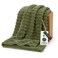 Bedsure GentleSoft Fleece Twin Blanket for Couch Cozy Soft Blankets for Women Cute Small Throws for Girls Moss 60x80 Inches