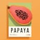 Phantoscope Fruit Shaped Pillows Papaya Shaped Throw Pillow Cute Home Decor of Fruit Themed Shaped Cushions Summer Decorative Shaped Pillow for Couch Kitchen Bed and Chair Pink 10 x 15 inches