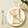 Mebakuk Cloth Napkins Set of 12 Premium 17 x 17 Inch Solid Washable Small Triangle Weave Napkins Soft Table Napkin for Wedding Party Restaurant Dinner Parties
