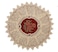 Simhomsen Set of 4 Small Mini Lace Table Doilies Round 12 inch Victorian Style and Vintage Look
