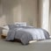 Calvin Klein Queen Duvet Cover Set Soft Cotton Sateen Bedding with Shams Button Corner Tie Closure Wildflower Dusk Purple