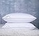 Eastwarmth Set of 2 Goose Feather Down Cooling Pillow for Back Stomach or Side Sleepers 2 Pack100 Cotton Cover Standard Size20X26IN Gussted White