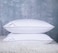 Eastwarmth Set of 2 Goose Feather Down Cooling Pillow for Back Stomach or Side Sleepers 2 Pack100 Cotton Cover Standard Size20X26IN Gussted White