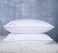 Eastwarmth Set of 2 Goose Feather Down Cooling Pillow for Back Stomach or Side Sleepers 2 Pack100 Cotton Cover Standard Size20X26IN Gussted White