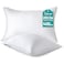 Oubonun King Size Pillows Set of 2 Fluffy Supportive Down Alternative Pillows with Zippered Cotton Cover Breathable and Cool for All Sleeping Positions Machine Washable 20x36