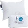 Lincove Cloud Natural Canadian Down Pillow White Luxury Sleeping Pillow 625 Fill Power 500 Thread Count Cotton Shell Made in Canada King Firm 1 Pack