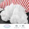 EIUE Bed Pillows for Sleeping 2 Pack Queen SizeSuper Soft Down Alternative Microfiber Filled PillowsPillows for Side and Back Sleepers20 x 30 InchesRed