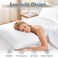 CozyLux Soft Supportive Bed Pillows for Side and Back Sleepers OekoTex Down Alternative Filling Hotel Quality Fluffy Sleeping Pillow White King 19 x 34 4 Pack