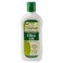 Originals by Africas Best Extra Virgin Olive Oil Moisturizing Body Lotion Formulated To Penetrate Moisturize Replenish and Rejuvenate Dry Skin 12oz Bottle