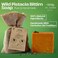 Dr.Ancient DrAncient Wild Pistacia Bittim Soap Bar Organic Soap Bars Handcrafted the Traditional Way Natural ChemicalFree Vegan Used for Face Wash Body Wash Hand Cleansing and Skin Care