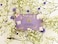 The English Soap Company Vintage Wrapped Soap Bar Luxury Bluebell Shea Butter Soap Bar Bluebell Scent 190g