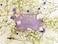 The English Soap Company Vintage Wrapped Soap Bar Luxury Bluebell Shea Butter Soap Bar Bluebell Scent 190g