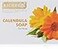 Richfeel Calendula Soap For Acne 75g