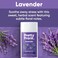 PRETTY FRANK Pretty Frank Natural AluminumFree Deodorant Stick Baking SodaFree Lavender 2Pack Sensitive Skin Friendly Effective Odor Control for Women Men Organic Ingredients and Essential Oils
