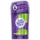 Lady Speed Stick Invisible Dry Powder Fresh 14 OzPack of 12