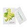 Scent2Go Toilet Odor Eliminator Powder BeforeYouGo Bathroom Deodorizer Travel Size SingleUse Packets No Spray No Bottle No Leak TSAFriendly PlantBased Lemon Mint 20 Count
