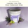 Fresh Wave Odor Removing Gel Bucket 155 lb 248 oz Lavender Scent Refill Odor Absorbers for Home Safer Odor Relief Natural PlantBased Odor Eliminator For Cooking Trash Pets