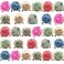 EAVOQLB 28 PCS Brocade Bag Peony Flower Bag Drawstring Double Drawstring Jewelry Bracelet Bag Coin Bag