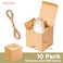 UnicoPak 10 Pack 4x4x4 Small Brown Gift Boxes with Lids Twine Premium USA Kraft Cardboard PopUp Easy Assembly Gift Boxes for Presents Candles Mugs Ornaments Favors