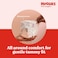 HUGGIES Heavy Absorbency Disposable Unisex Little Snugglers Newborn Baby Diaper 288 per Case