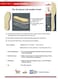 pedag Keep Warm Wool Insoles Handmade in Germany Sweat Wicking Top Layer Insulating Cork Core Felt Sole Trim to Fit Men US 14 EU 47