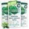 Seventh Generation MultiSurface Wipes 70 Count Pack of 3 Garden Mint PlantBased Cleaning Wipes No Harsh Fumes or Residue Safe Around Kids