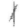 Clinique Quickliner For Eyes Intense Eyeliner Pencil Water Resistant Smudge Resistant Safe For Sensitive Eyes Intense Ivy