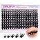 zanlufly Wispy Lash Clusters Natural Lash Extensions D Curly Eyelash Clusters DIY Eyelash Extensions 1018MM Cluster Eyelash Extensions 180Pcs Individual Cluster Lashes by ZANLUFLY