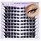 EYDEVRO Wispy Lash Clusters Fairy Eyelash Clusters Natural Cluster Lashes with Spikes LC Curl Fox Eye Cat Eye Lashes Manga Lashes 120Pcs Reusable Premapped Cluster Eyelash Extensions Individual Lashes