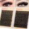 calphdiar Lashes Clusters 60D80D Thick Eyelash Clusters 480PCS Wispy Lash Clusters Eyelash Extensions Fluff Dcurly Individual Lashes 1018mm DIY Volume Lash Extension at Home