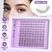 ALICE Clear Band Lash Clusters Kit Natural Wispy Lash Extensions Kit 1014mm DIY Eyelash Extension Kit CCurly Individual Lashes Kit with Lash Glue Lash Remover Self Application at Home by