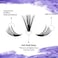 WENDY LASHES DIY Lash Clusters for Using at Home 300PCS Lightweight Natural Fluffy Wispy Waterproof Anime Manga Cat Eye D Curl 816mm Mixed 40D Wendy Lashes