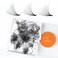 Eyesy Lash 500 Promade Fans Volume Premade Lash Fans for Eyelash Extensions Pointy Base Handmade Loose Pre Made Eyelashes Middle Stem Soft and Lightweight 10D 003 CC 11mm