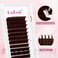 FADLASH Brown Lash Extensions Easy Fan Volume Lashes Colored Lash Extensions CD Curl Volume Lash Extension 007 Self Fanning Eyelash Extensions Dark Brown007D 1520mm