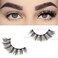 FARRED Cat Eye Lashes Natural Wispy Eyelashes Fluffy False Lash Strips Short Cateye Fake Eyelash 14mm Full Strip Lashes Pack 7 Pairs Pestaas Sets for MUA and Beginners Daily Makeup