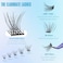 Geeneiya Lash Clusters Wispy C Curl Eyelash Clusters 1216MM Individual Eyelashes Natural Cluster Eyelash Extensions Cluster Lashes Natural Look154PCS C Curl 121416mm